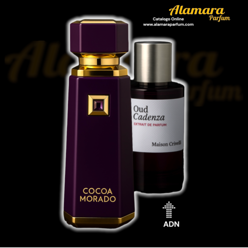 Cocoa Morado – French Avenue